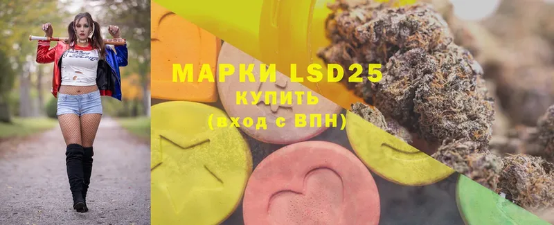 дарнет шоп  Нестеровская  LSD-25 экстази кислота 